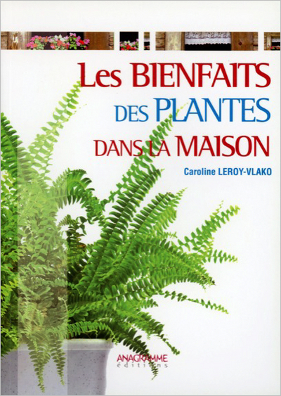 BIENFAITS DES PLANTES DANS LA MAISON (LES)