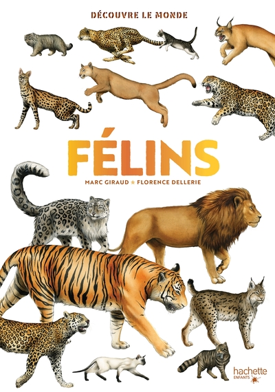 DECOUVRE LE MONDE - FELINS
