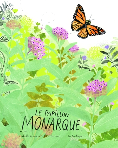 PAPILLON MONARQUE