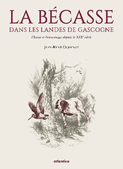 Couverture de La bécasse dans les Landes de Gascogne ; chasse et braconnage depuis le xixe siècle