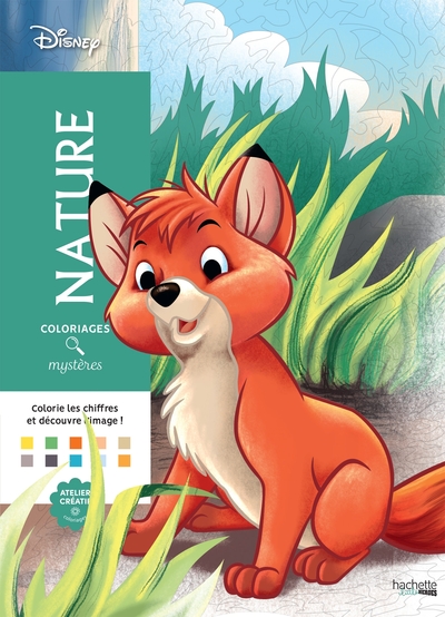 COLORIAGES MYSTERES DISNEY - NATURE
