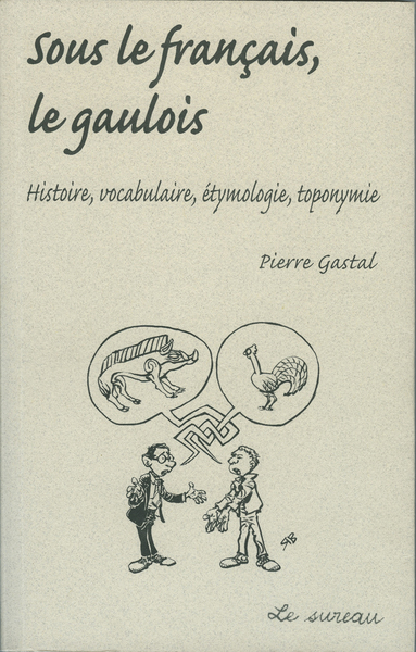 SOUS LE FRANCAIS LE GAULOIS HISTOIRE VOCABULAIRE ETYMOLOGIE TOPONYMIE