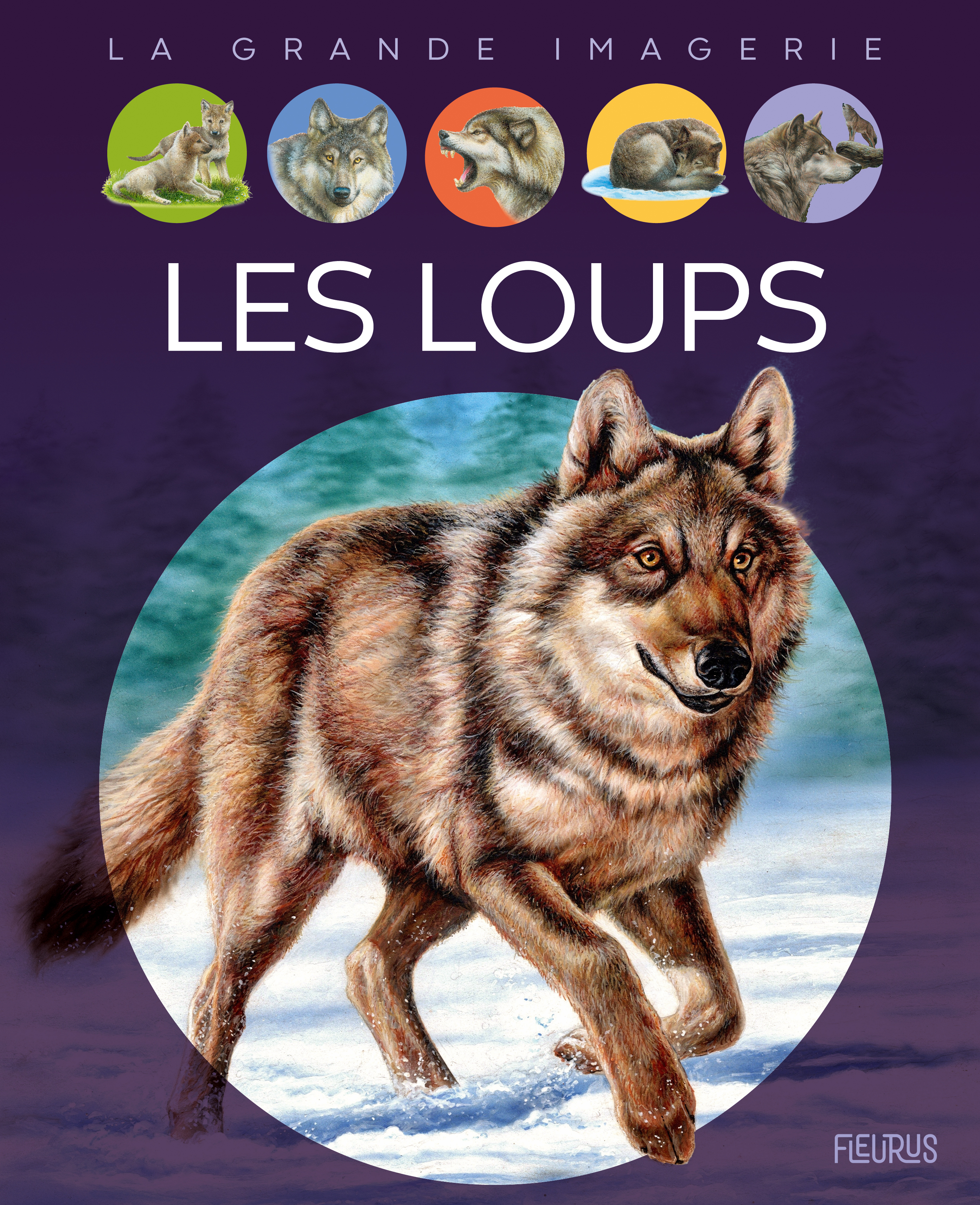 couverture du document