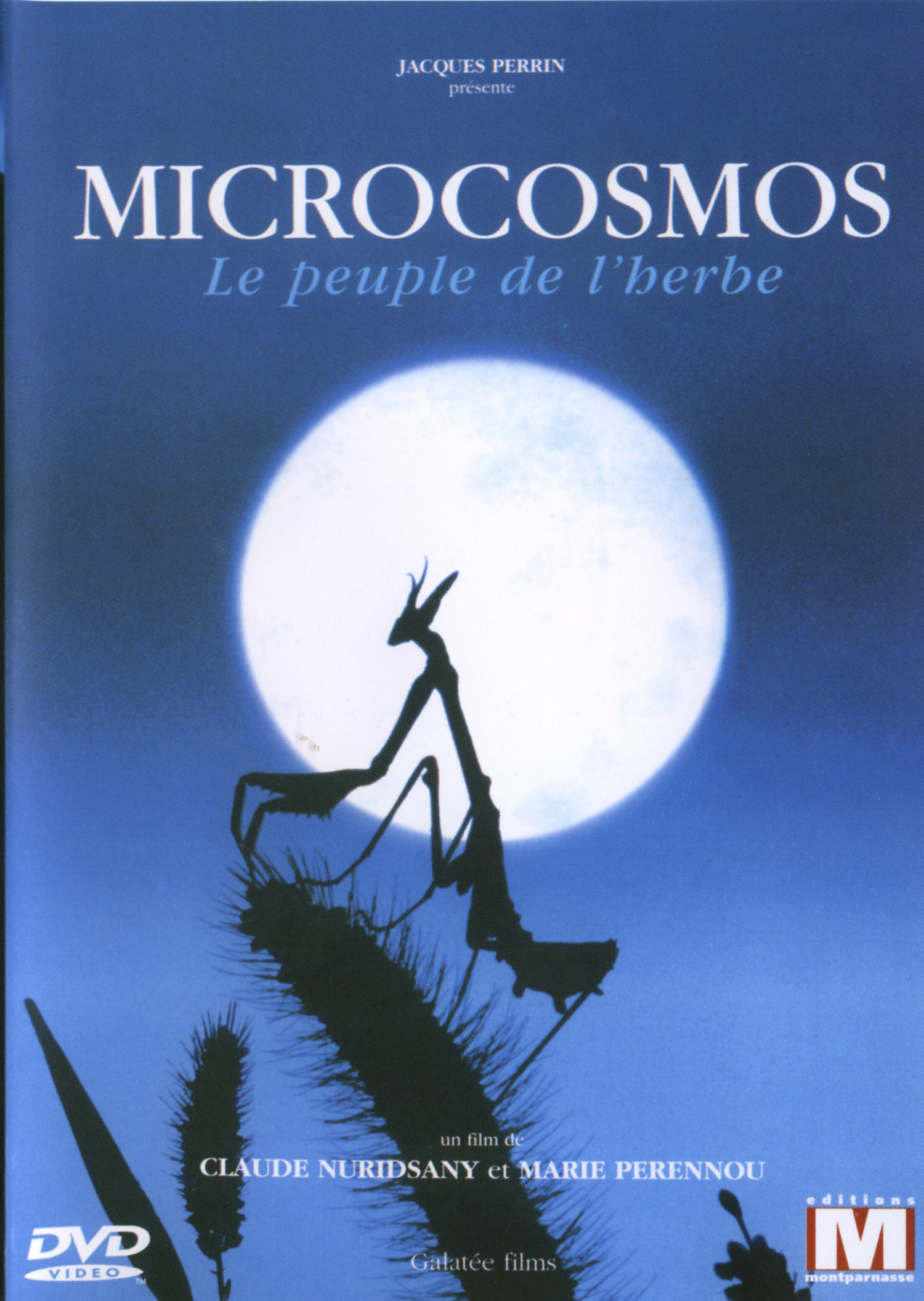 Микрокосмос 1996